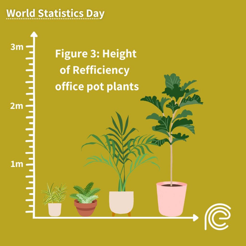World statistics day: bar chart showing the heights of office pot plants
