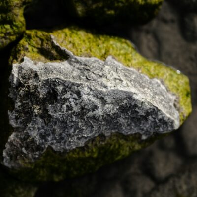 jens-aber-rospmv94Fy0-unsplash